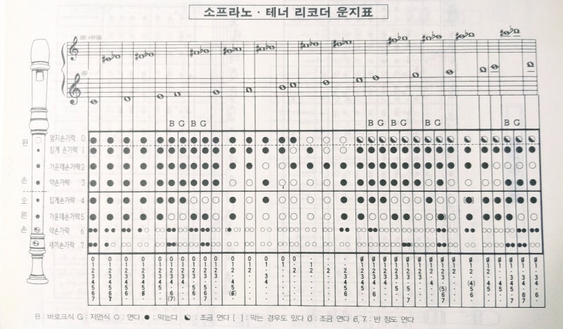 리코더 운지법(파샵, 레샵, 시b을 모른다고?)