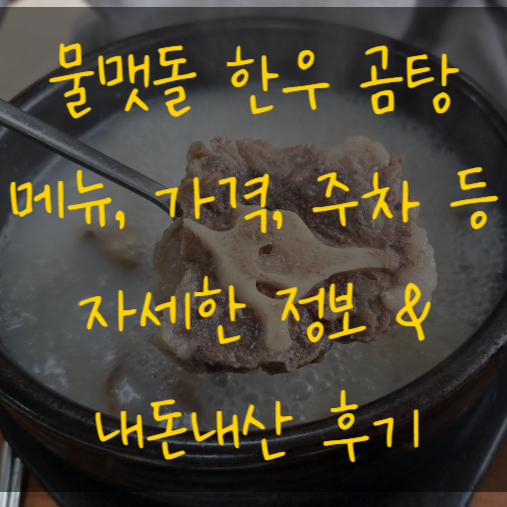  세종 내돈내산 맛집추천 물맷돌 한우곰탕