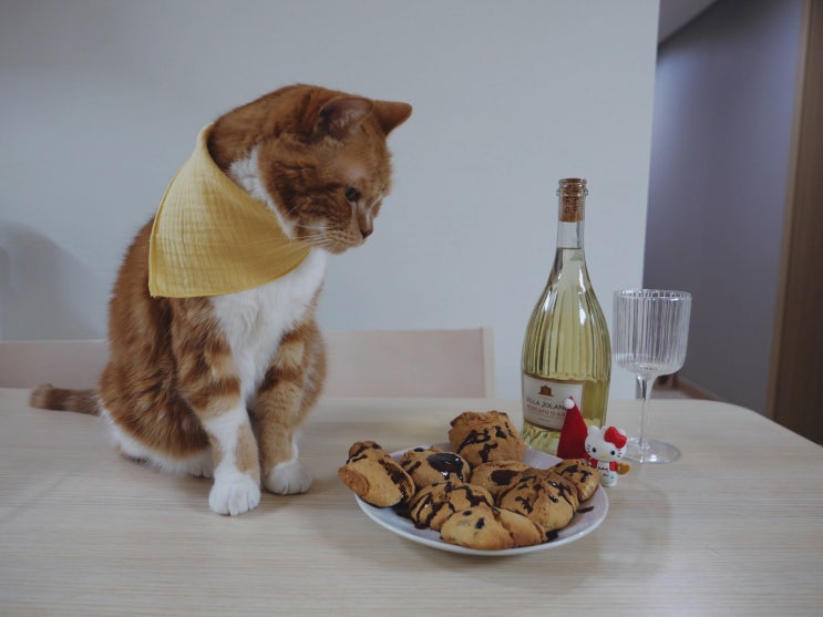  크리스마스 기념으로 만들어본 귀여운 고양이 모양 쿠키