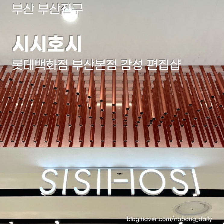  부산 서면 편집샵 :: 감성가득한 소품과 내추럴와인 시시호시 롯데백화점 부산본점