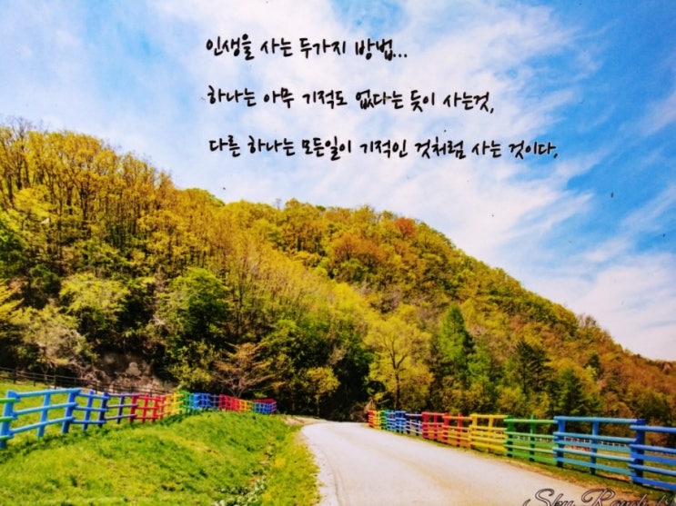  대관령 하늘목장(양떼목장) 방문후기 강원도 가족여행 추천  데이트코스 추천
