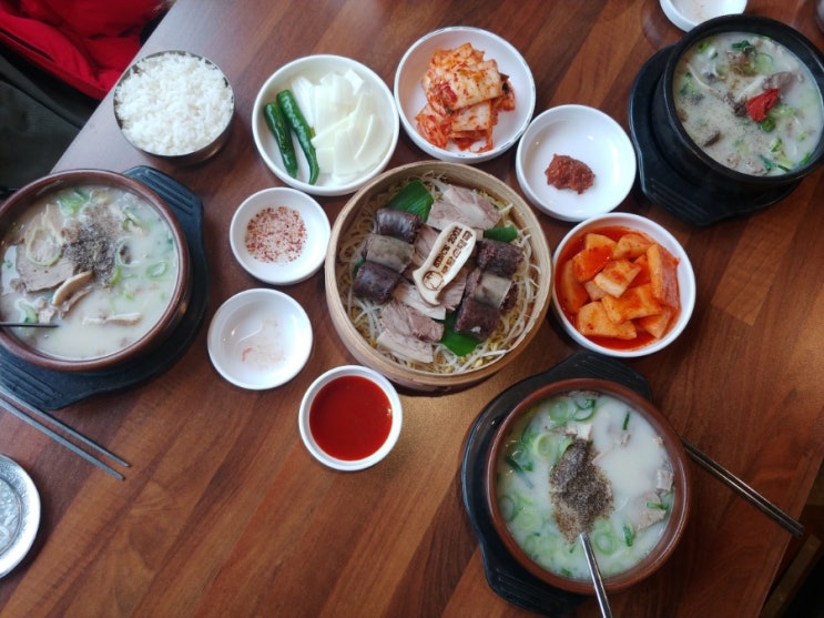 일산 대화동 맛집 토담순대국