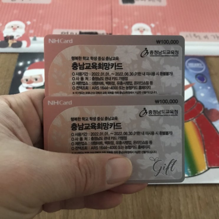 십만원 크리스마스선물??? 둥이들 충남교육희망카드 수령하다 / 슬쌍디아빠