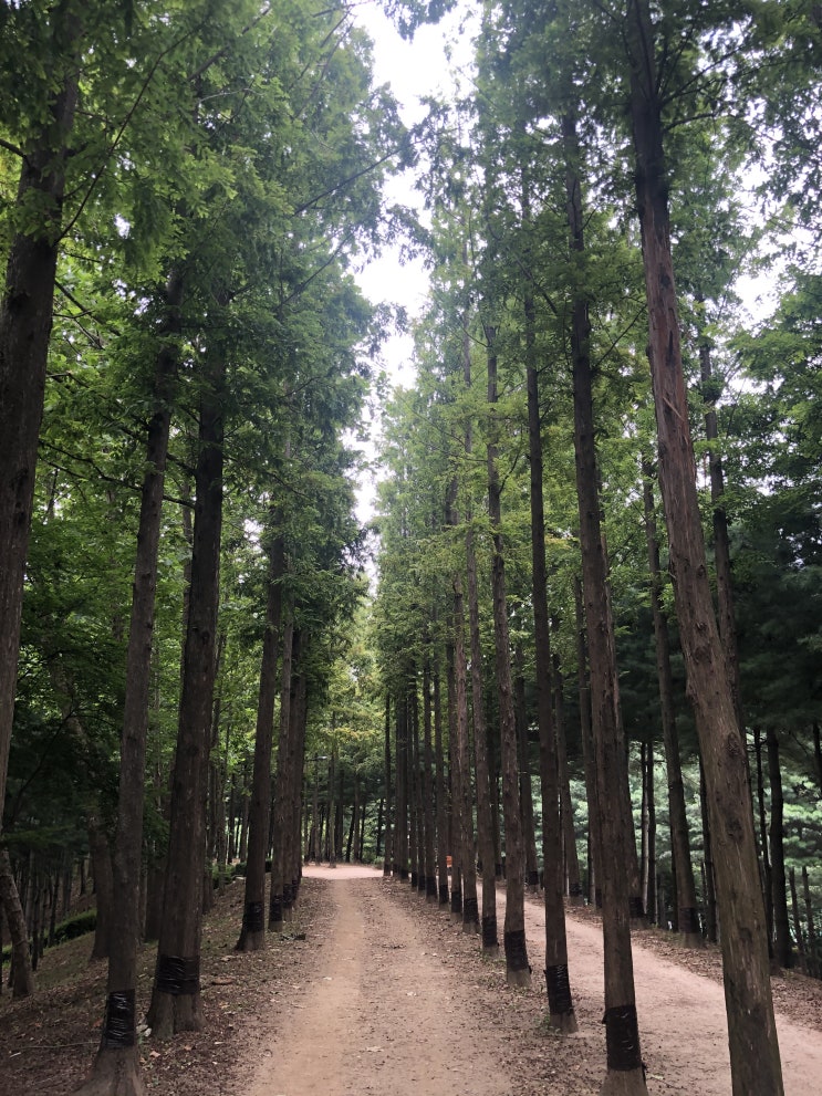  서남환경공원을 가다(강서구산책길)