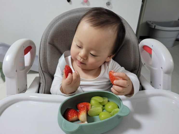 10개월아기 간식 (과일, 분유빵, 오트밀요거트, 퓨레, 떡뻥)