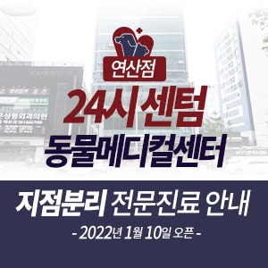  센텀동물메디컬센터 지점분리 전문진료 안내 (연산점 2022년 1월 10일 오픈)