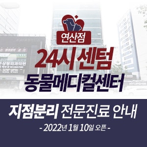 센텀동물메디컬센터 지점분리 전문진료 안내 (연산점 2022년 1월 10일 오픈)