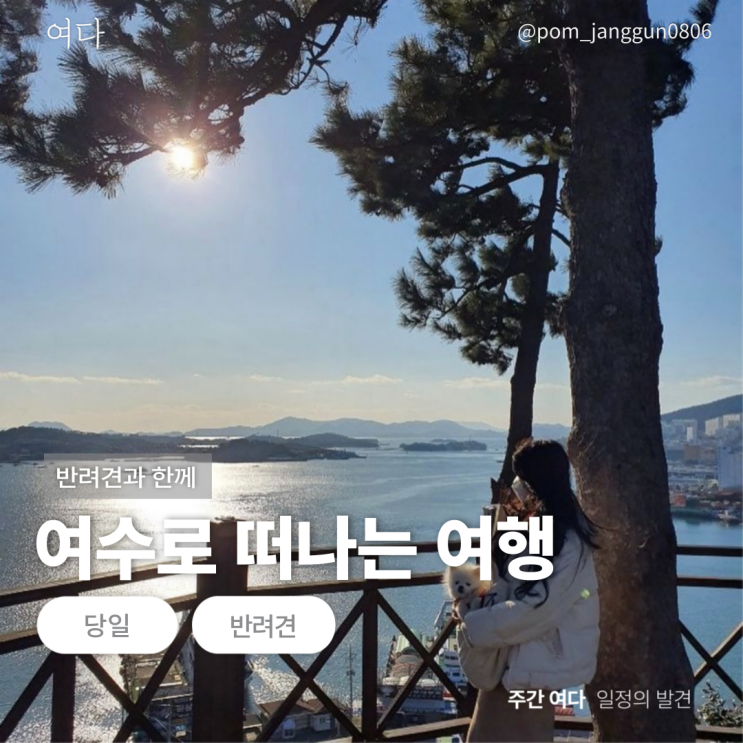  [여수여행]반려견과 여수로 떠나는 여행