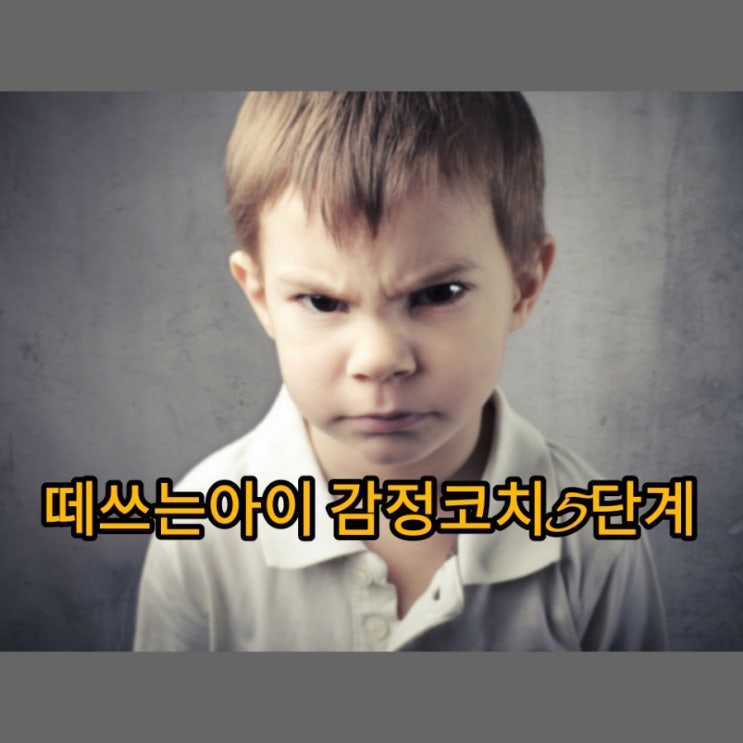  정서지능이란? 떼쓰는 아이 감정코치 5단계