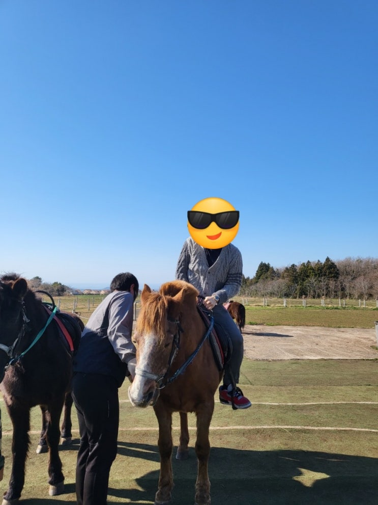   말 타고 호연지기를 키우다