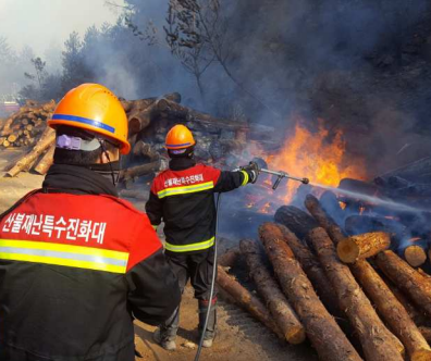 산불재난특수진화대 산불재난특수진화대