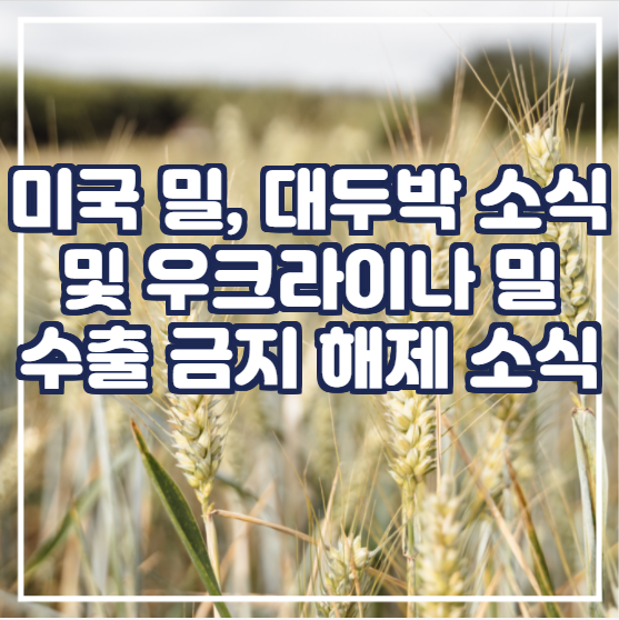 미국 밀, 대두박 및 우크라이나 밀 수출 금지 해제 소식