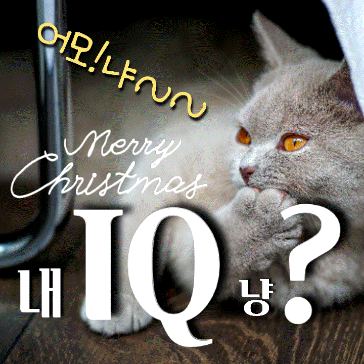  2편, 양이, 뭉이, 숭이, 팬지! IQ 높은 동물과 비즈니스!