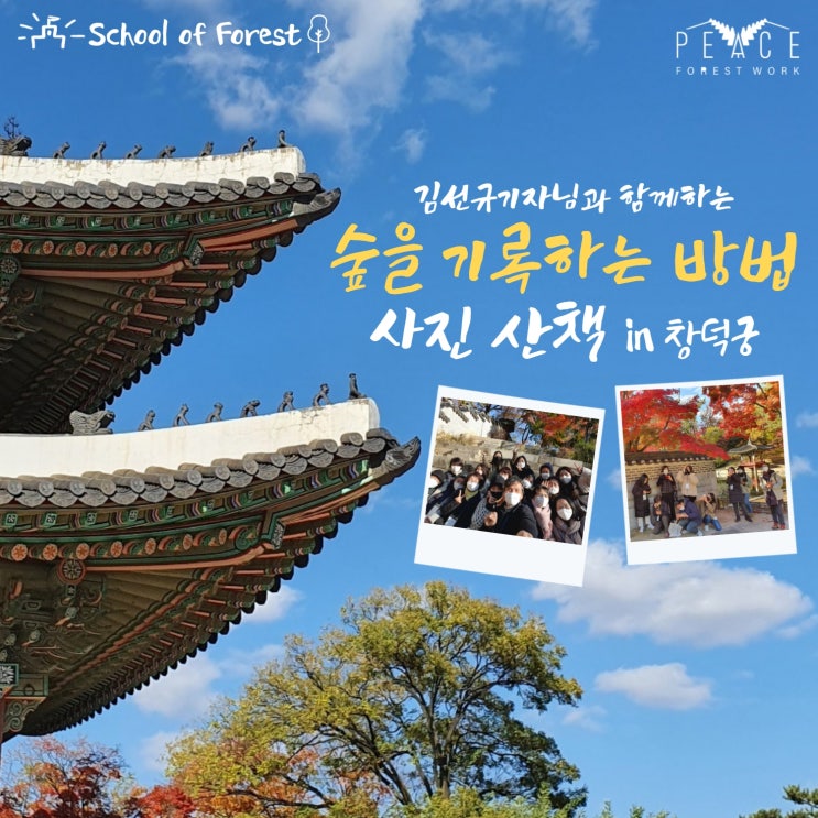   평화의숲 스쿨오브포레스트 I 숲을 기록하는 방법 사진 산책