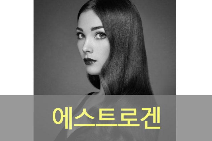 여성호르몬 에스트로겐 역할