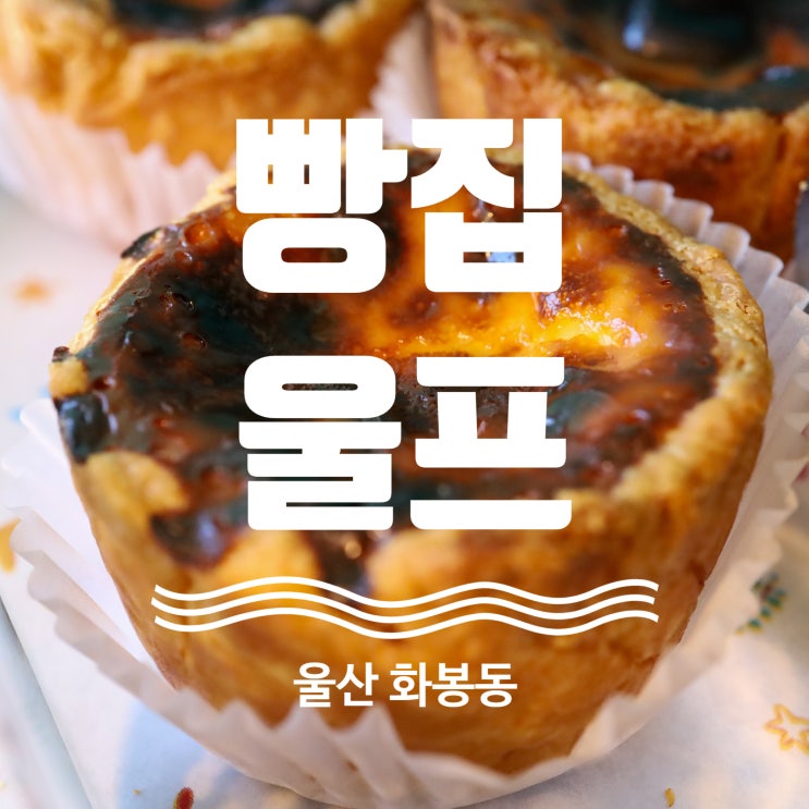  울산 베이커리 추천 에그타르트 맛집 빵집울프