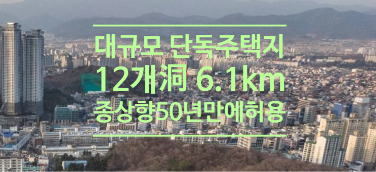  대구 대규모 단독주택지 12개洞 6.1km2 종 상향 50년만에 허용