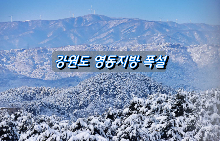 크리스마스 이브에 강원도 영동지방 폭설, 화이트크리스마스 크리스마스 이브에 강원도 영동지방 폭설, 화이트크리스마스