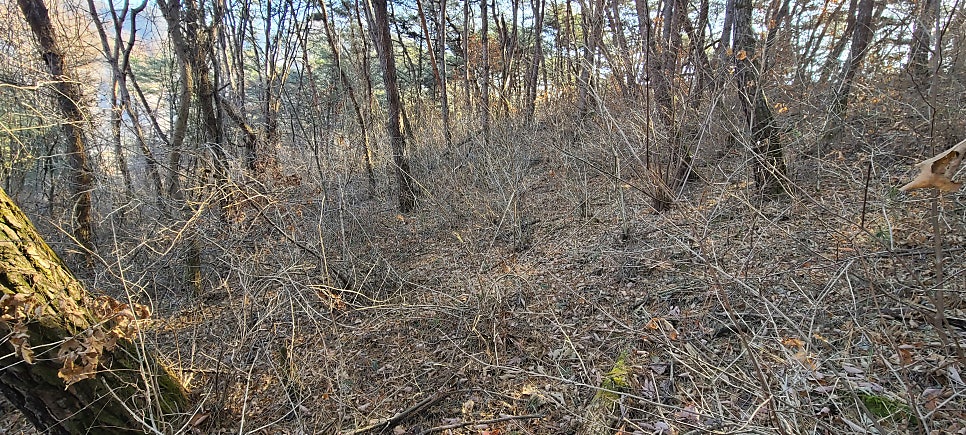 쉰바우산 사진 6