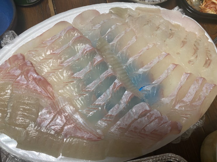  속초대포회집 대광어 중자 먹어봄