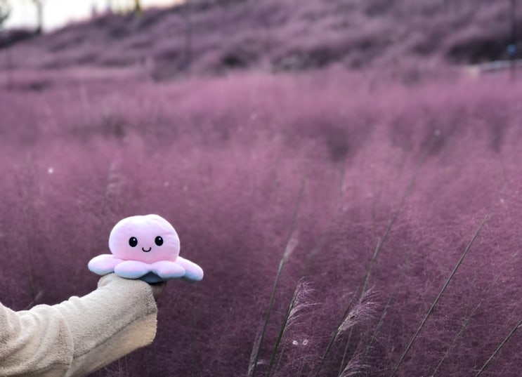  첫 글