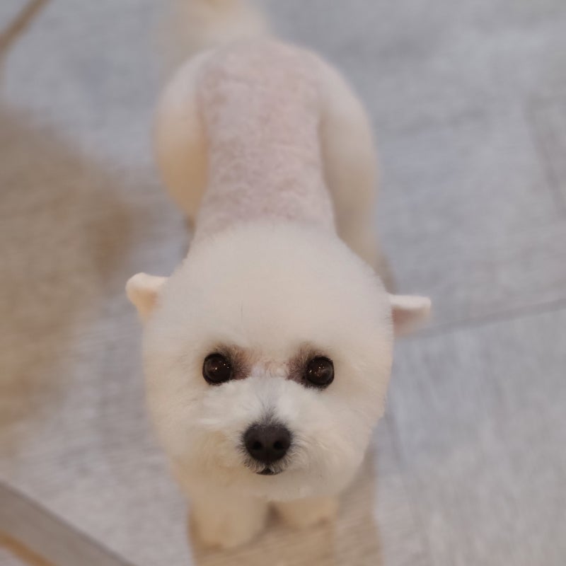 사진 3
