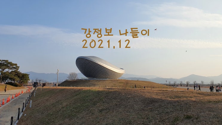  강정보를 아시나요?
