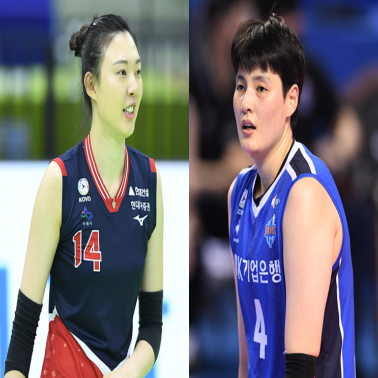 여자배구 현대건설 IBK기업은행 12월 26일 경기예상(양효진 야스민 황민경 김희진 김호철 김주향)