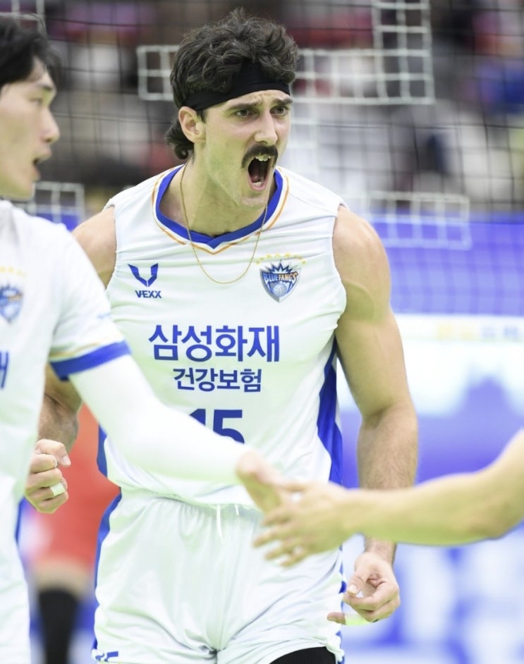 KOVO 프로배구 국내 남자배구 삼성화재 우리카드 여자배구 페퍼저축은행 흥국생명 KOVO 프로배구 국내 남자배구 삼성화재 우리카드 여자배구 페퍼저축은행 흥국생명