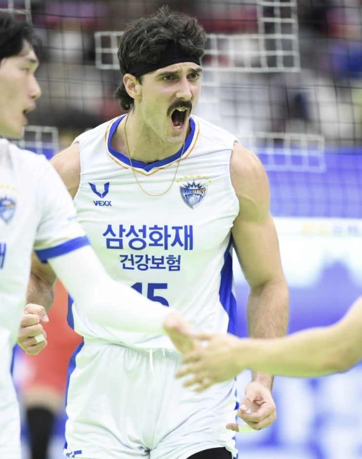 KOVO 프로배구 국내 남자배구 삼성화재 우리카드 여자배구 페퍼저축은행 흥국생명