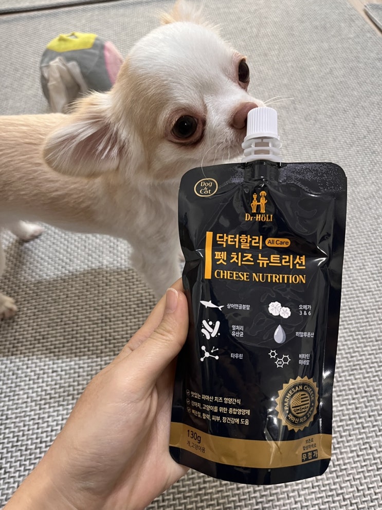  강아지 영양제 간편하게 너무 잘 먹는 닥터할리 치즈 뉴트리션