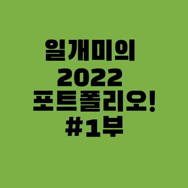 일개미의 2022 포트폴리오 #1부