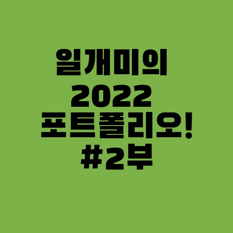 일개미의 2022 포트폴리오 #2부