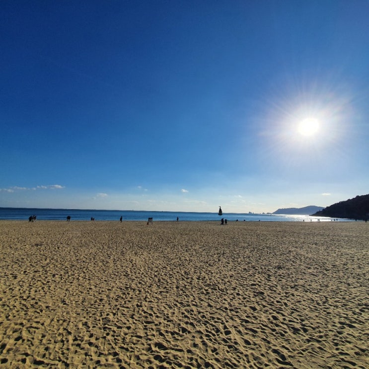  12월 19일, 부산 해운대 해수욕장 방문 후기