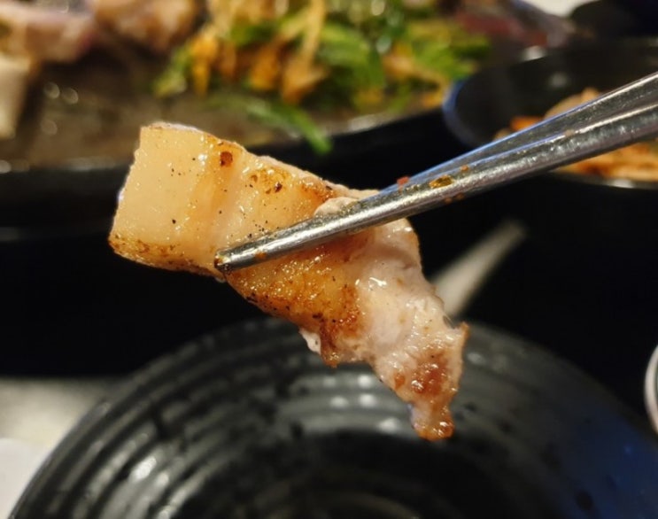  강아지 돼지고기 및 삼겹살 안전하게 급여하는 방법