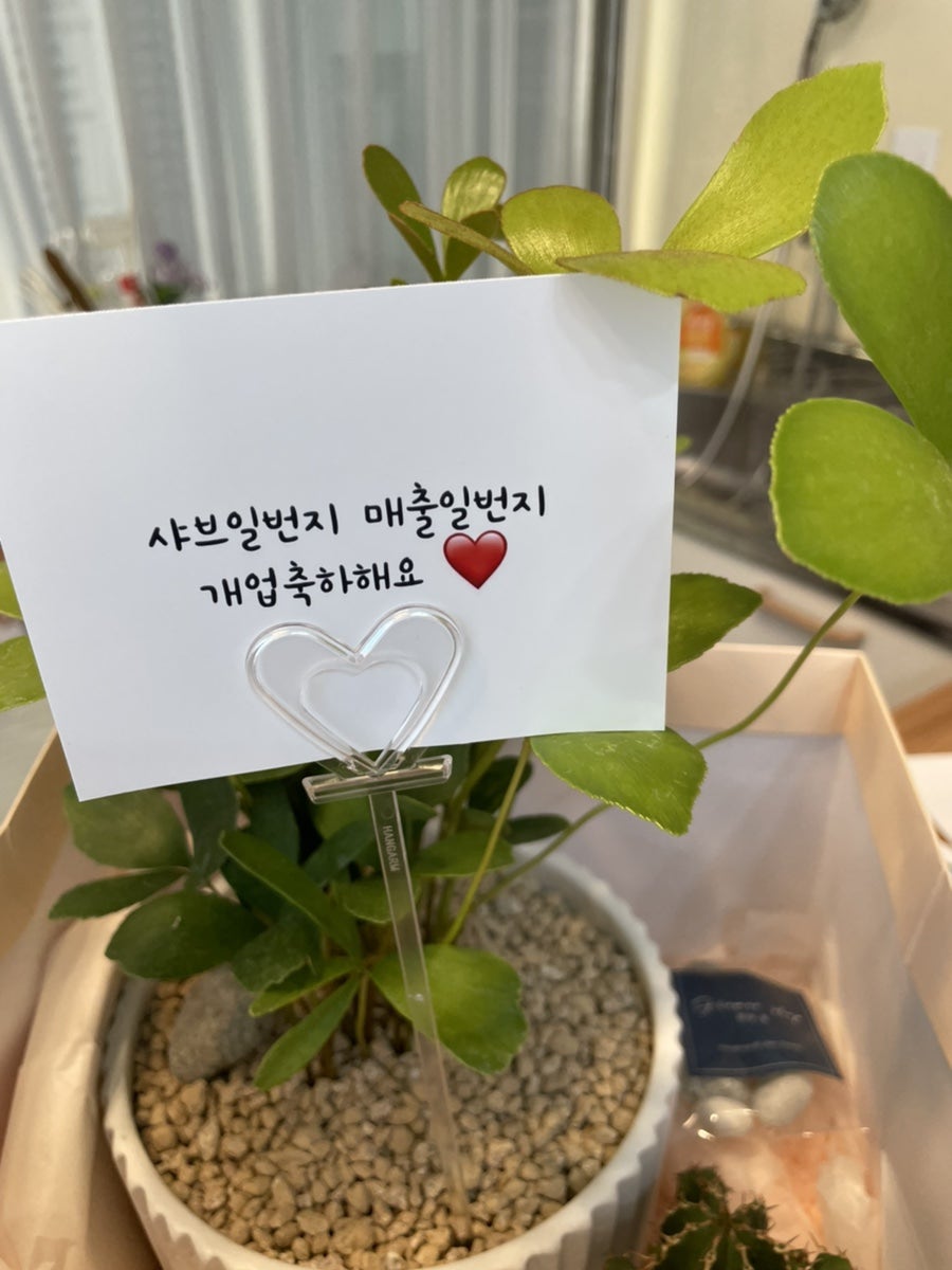 샤브일번지 초곡점 사진 1