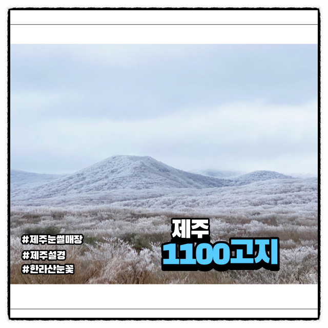  제주 눈 내리는 날 1100고지로 go go
