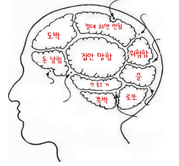  초블린이 탈출 도전기 - 주식회사,주식,채권