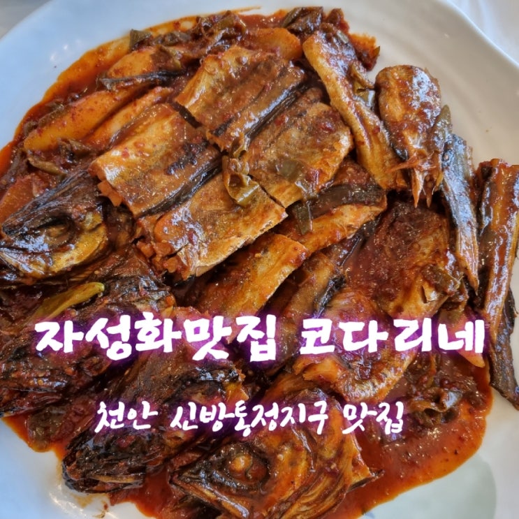  자성화맛집코다리네[충남 천안 신방동 코다리맛집  feat 내돈내산후기]