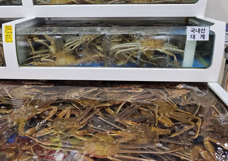 속초맛집_속초게찜본점에 다녀왔어요~