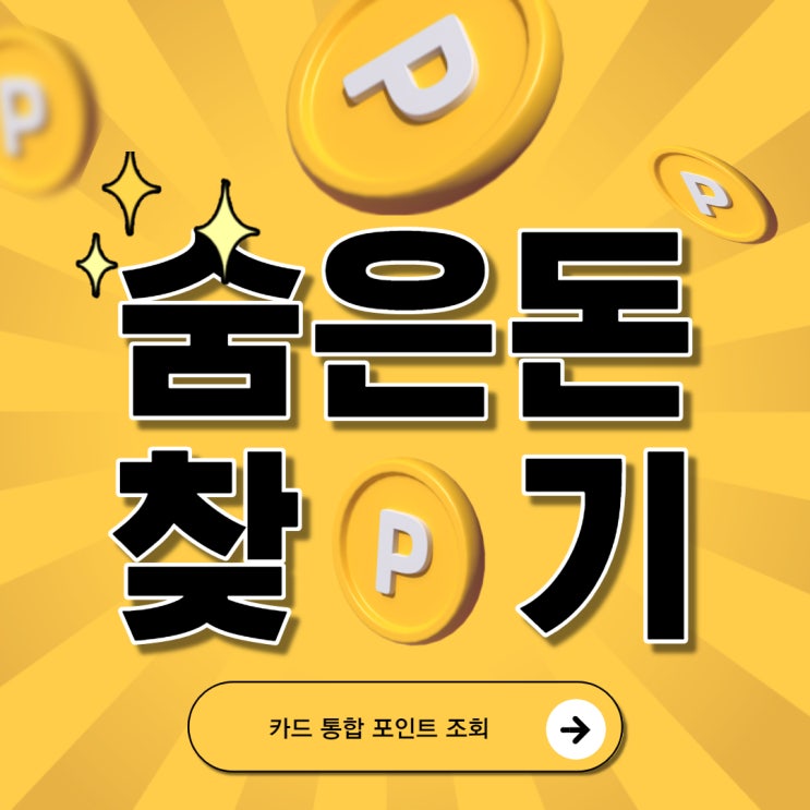  카드 통합 포인트 조회로 숨은 돈 찾기! 15만원 득템!