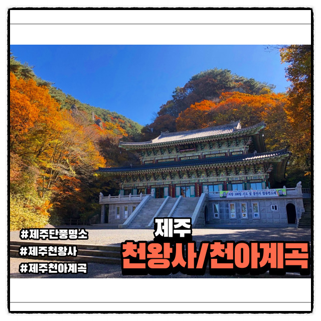  제주 가을 단풍 명소 "천아계곡" 그리고 "천왕사"