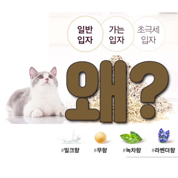  화장실 변기에 버리면 되는 고양이 모래 '네네린도'