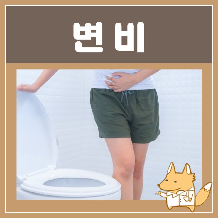  변비약 추천 듀파락, 변비 좌약 넣는법 : 장청소약 메이킨 효과, 관장약 관장하는법
