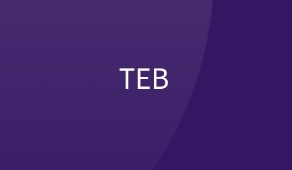  [TEB(테브)코인 무료 채굴앱] 클레이튼(KLAY)과 같은 디파이(DeFi)와 NFT가 합쳐진 유망좋은 GameFi를 목표로 하는 코인! 미리 채굴하자!