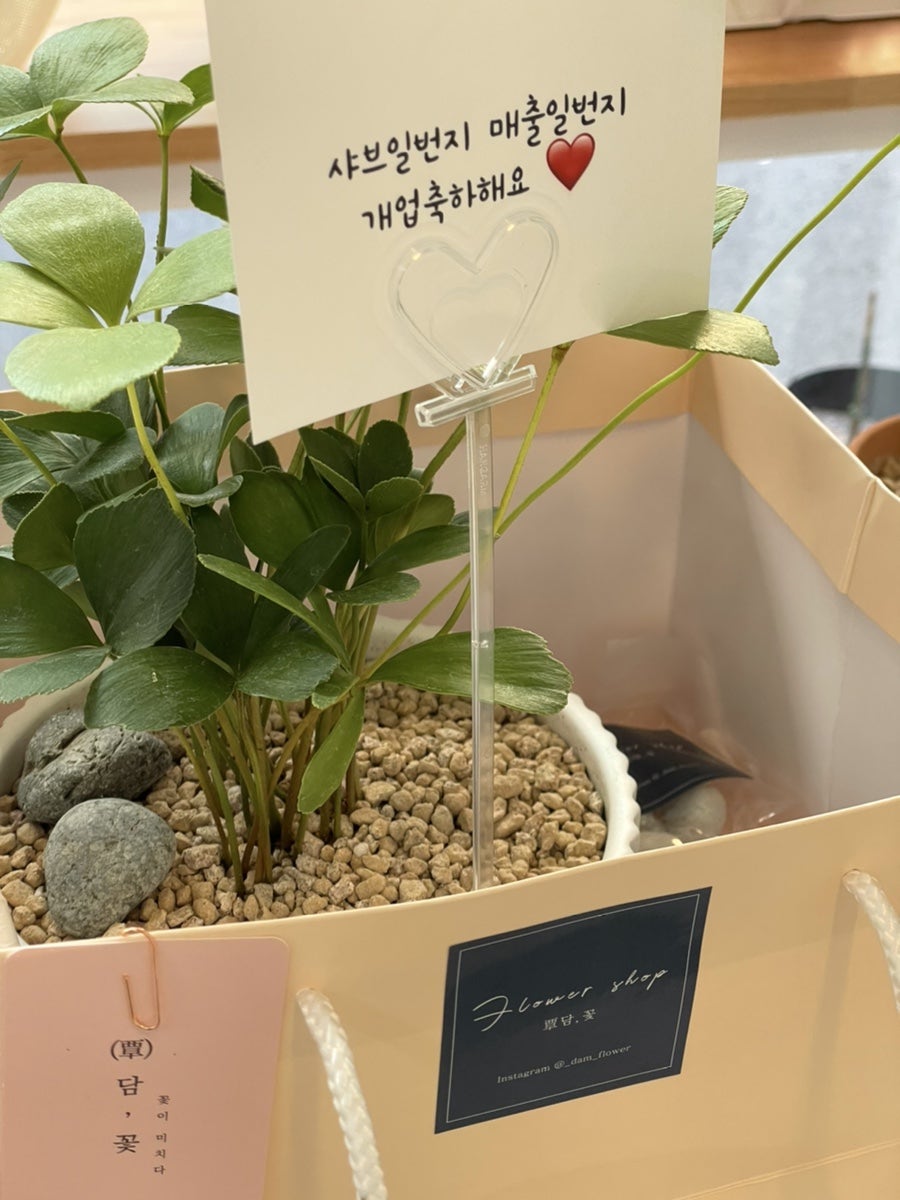 샤브일번지 초곡점 사진 3