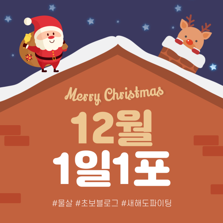  SNS, 매일블로그, 1일1포 프로젝트와 함께, 2021년 12월 피드백
