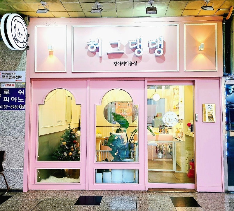 사진 8