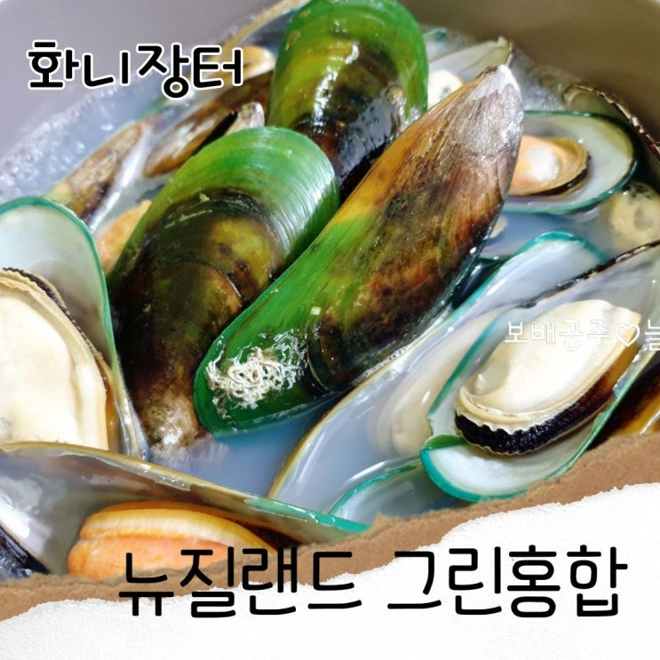  화니장터 그린홍합 뉴질랜드 초록홍합으로 홍합탕 만드는 법