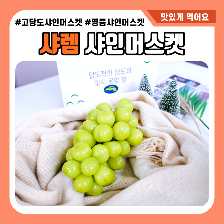  프리미엄 과일 샤렘 선물용 샤인머스켓